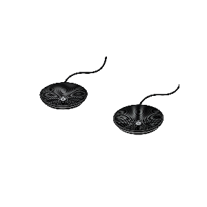 Group Expansion Microphone